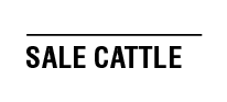 Sale Cattle